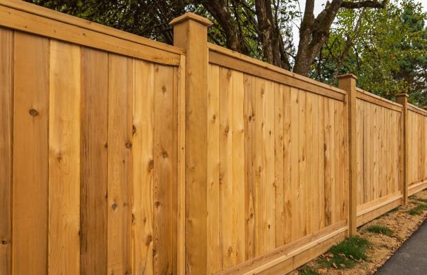 fencing_cardiff